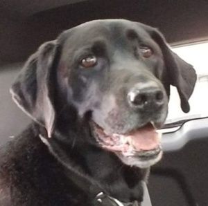 Meet your Posher, Michele